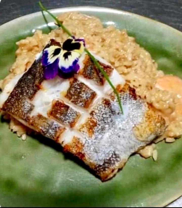 Casona Belga Hotel Boutique Y Restaurante チレチコ エクステリア 写真